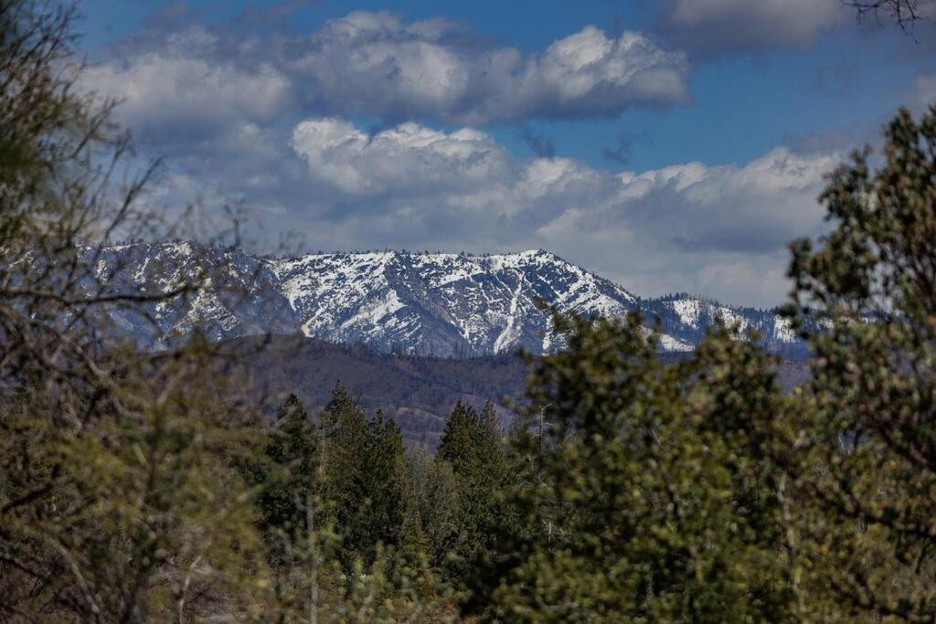 Cozy Cub Cabin, Brand New Home Near Yosemite 마리포사 외부 사진